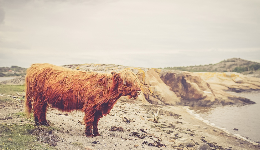 求推荐靠谱平台的永久免费轰炸电话网页版