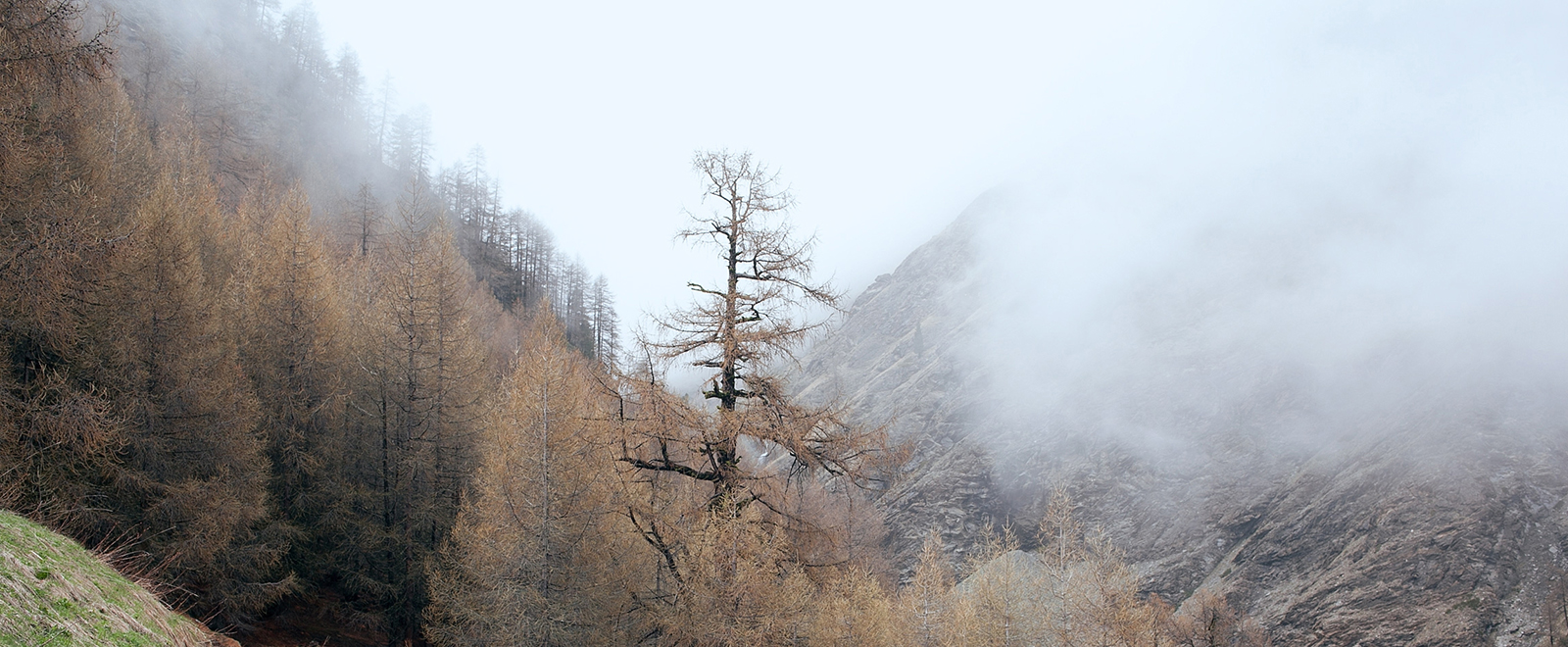 轰炸手机号软件