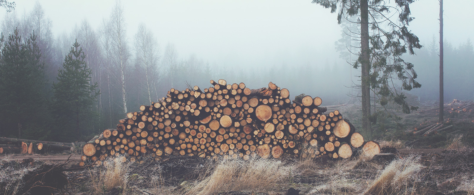 充值平台快速的催收短信电话轰炸机